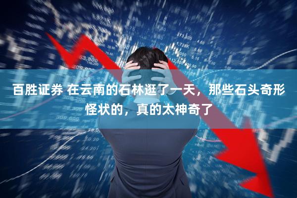 百胜证券 在云南的石林逛了一天，那些石头奇形怪状的，真的太神奇了