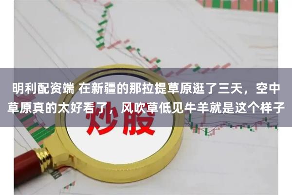 明利配资端 在新疆的那拉提草原逛了三天，空中草原真的太好看了，风吹草低见牛羊就是这个样子